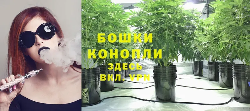 Бошки марихуана Ganja  наркота  Ардатов 